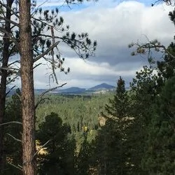 Black Hills South Dakota