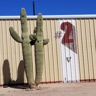 Cactus_Hugr