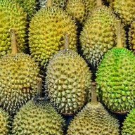 Durian